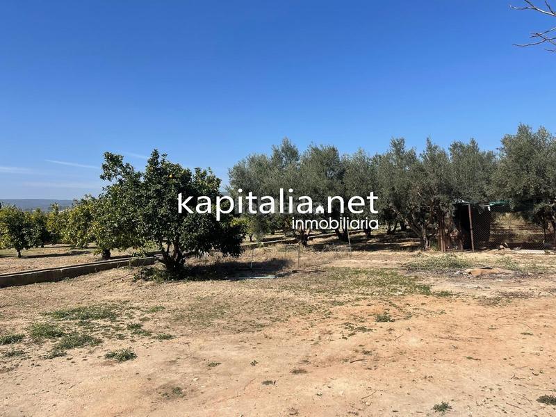 Foto c5c15360-a75c-428c-b4d5-d31894368051. Finca rústica terreno en Vallada