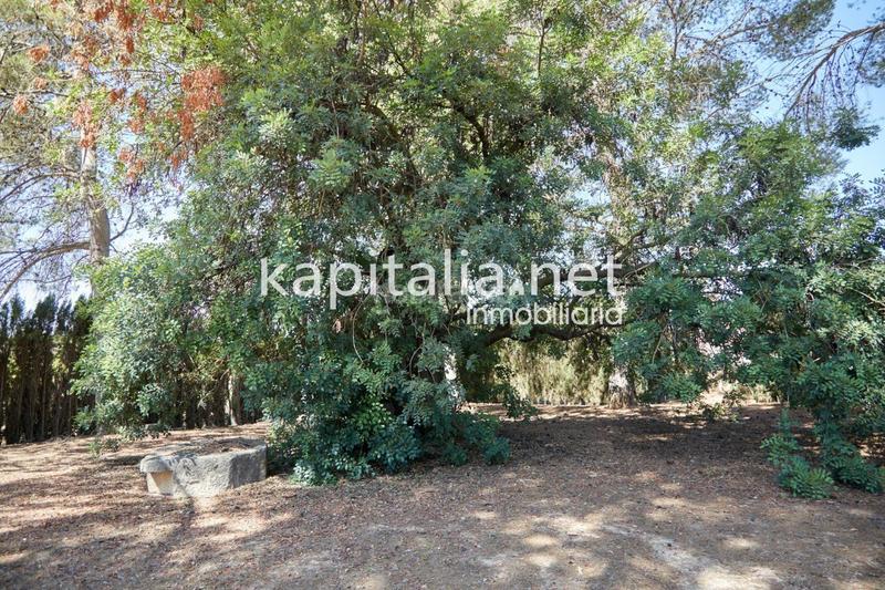 Foto 0b367ff8-04b8-4afd-bb4a-ec696427f818. Xalet amb calefacció aparcament a El Pilar Ontinyent