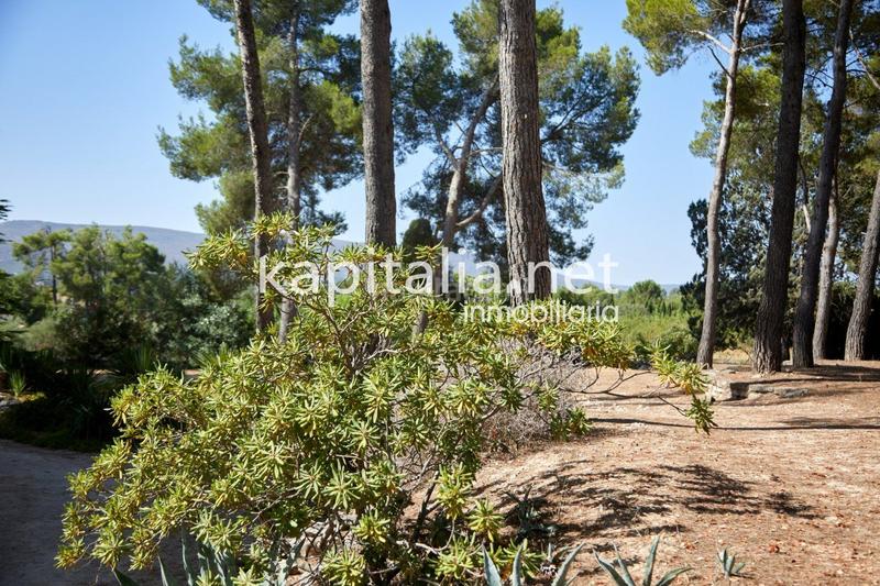 Foto 3eae3351-a8ef-4eef-a1c4-7e8a5e6d811d. Xalet amb calefacció aparcament a El Pilar Ontinyent