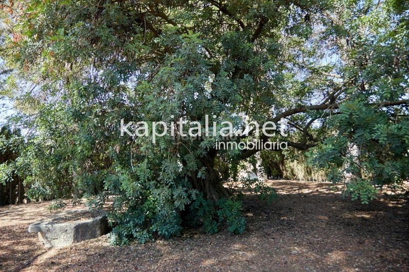 Foto 4d79ee3d-3a58-4be9-8d7f-c6d47c6ddc91. Xalet amb calefacció aparcament a El Pilar Ontinyent