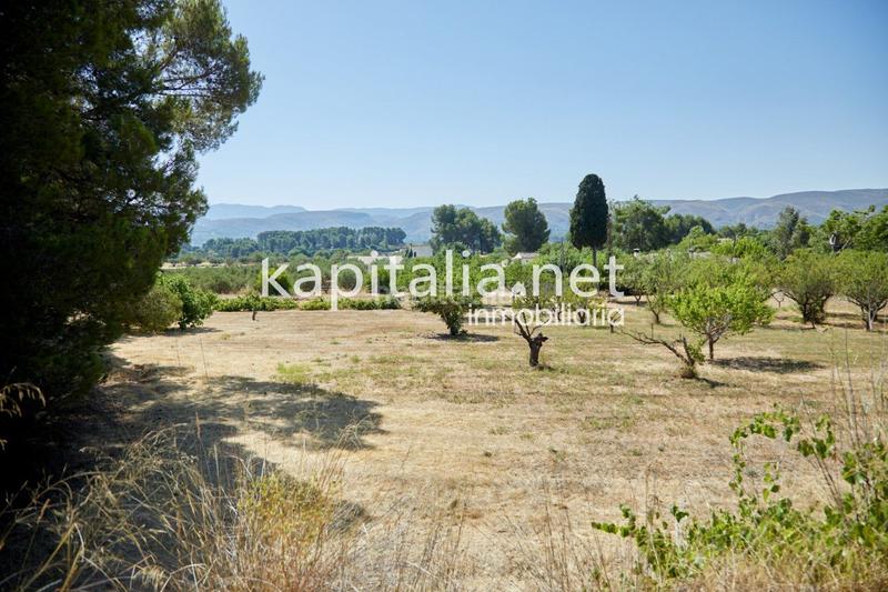 Foto 8790ed7d-3cac-4ced-9a62-2d360e1d8698. Xalet amb calefacció aparcament a El Pilar Ontinyent