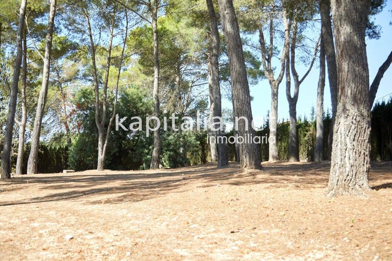 Foto 9f36b12c-2eef-4473-921b-f001856627c8. Xalet amb calefacció aparcament a El Pilar Ontinyent