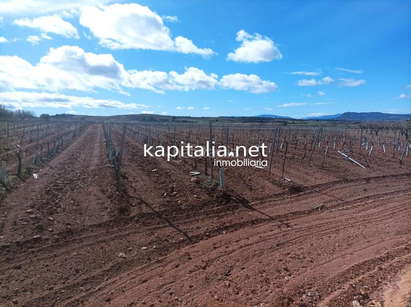 Foto 4e739fe6-7c89-4666-b8aa-3a470be319bf. Landgut in Las Cruces Villena