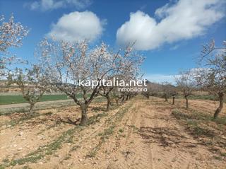 Propriété à Las Cruces. Finca rustica a la venta