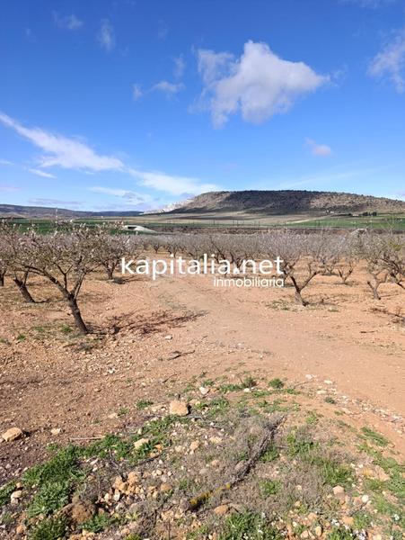 Foto 6906064a-3452-4c3c-abcc-0458c24872a5. Landgut in Las Cruces Villena