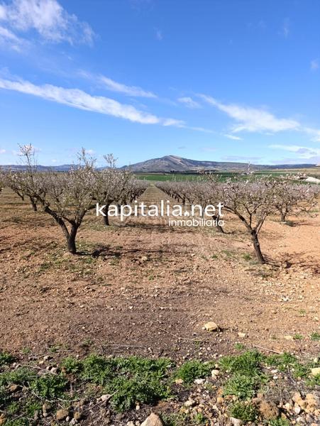 Foto 6d2a3088-06fd-4e3d-80c3-dfc76fe98b44. Landgut in Las Cruces Villena