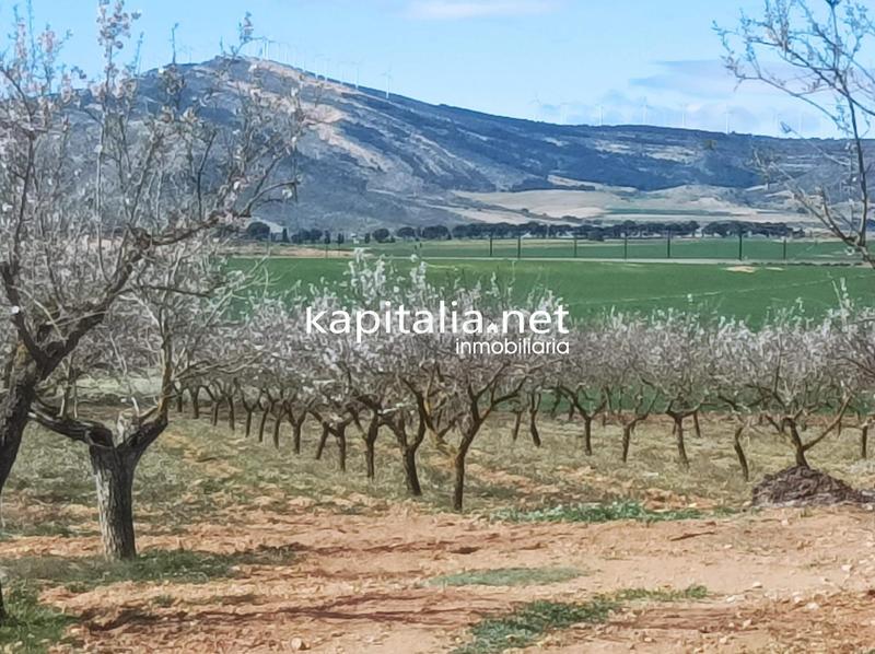 Foto 834a3d54-2e87-4387-8280-dcb0c41d703b. Landgut in Las Cruces Villena