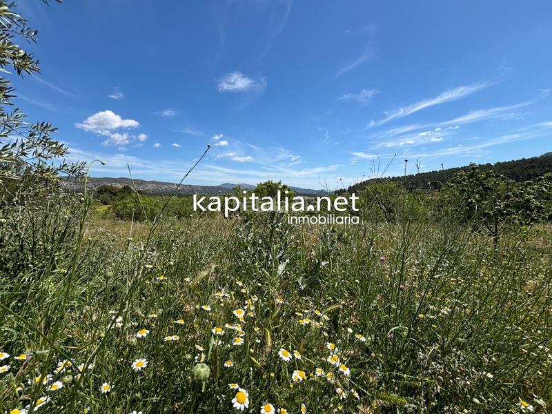 Foto 192ae5ab-0585-4129-8e3f-7728530ef3ea. Mas avec chauffage parking piscine dans Batoi Alcoi