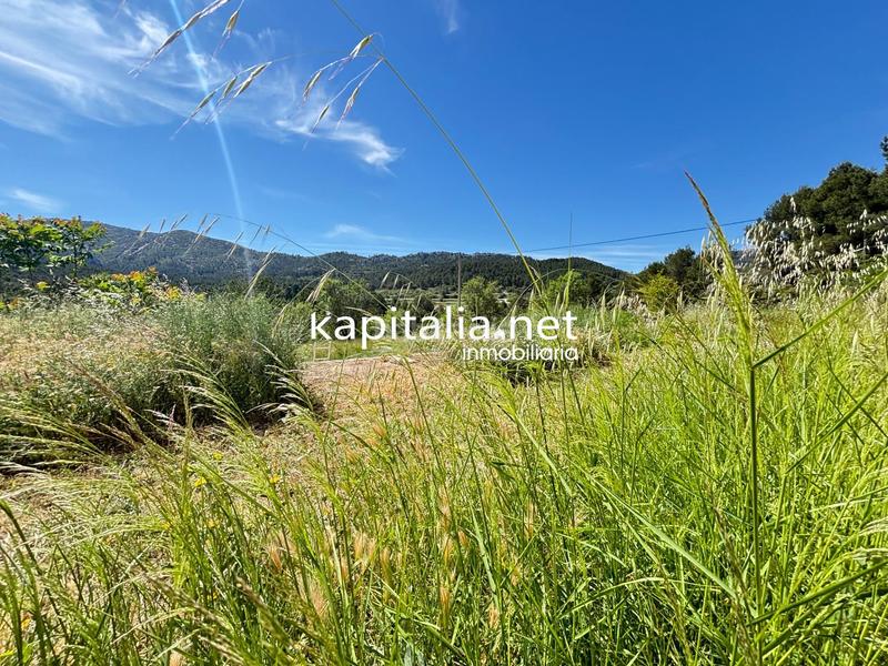 Foto ab29e25e-082f-4a3b-9cb6-8c0a854f7dc7. Mas avec chauffage parking piscine dans Batoi Alcoi