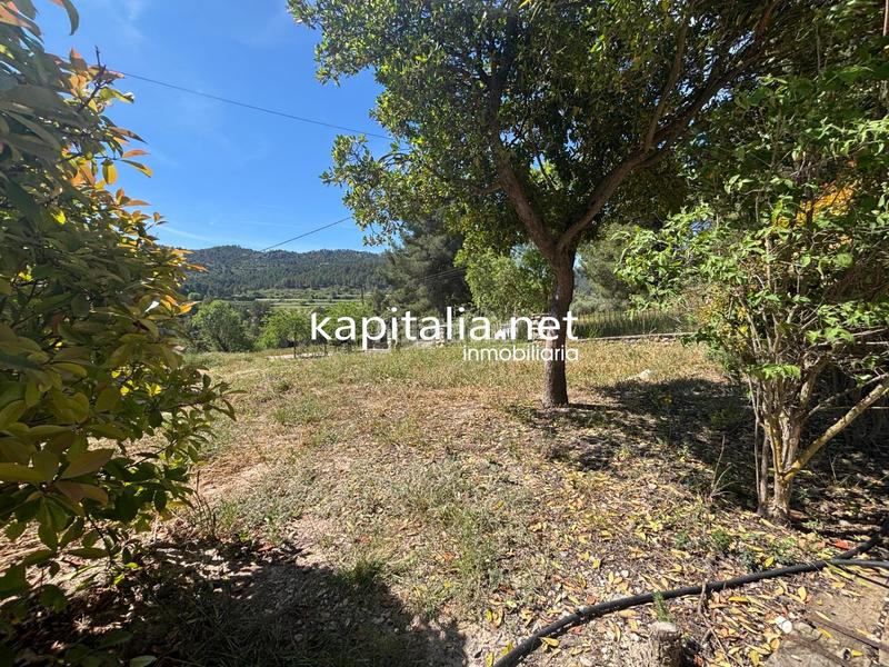 Foto b7466aef-15b0-4bae-9b9f-7dd44c6011d8. Mas avec chauffage parking piscine dans Batoi Alcoi