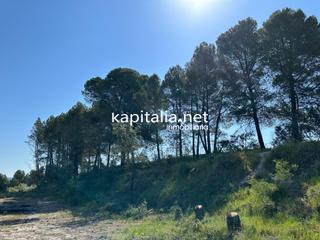 Terreny residencial a Alfafara. Parcela para construir a la venta en alfafara