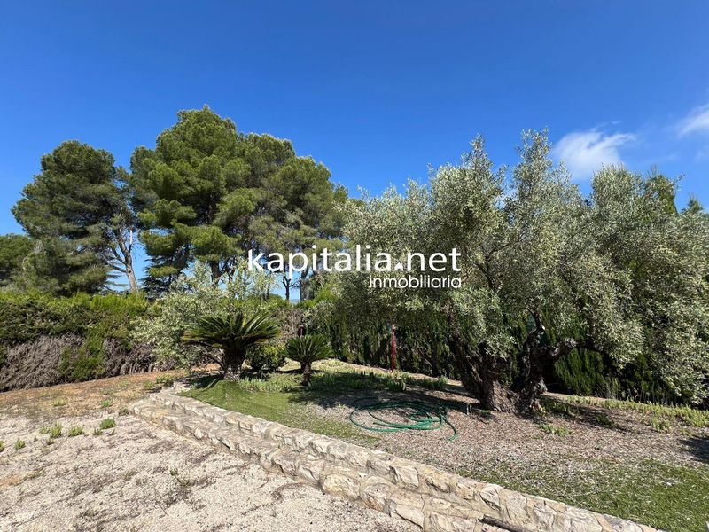 Foto 4c405648-cd38-44f6-90c0-bbe519181add. Xalet a Sant Josep-Zona Hospital Ontinyent