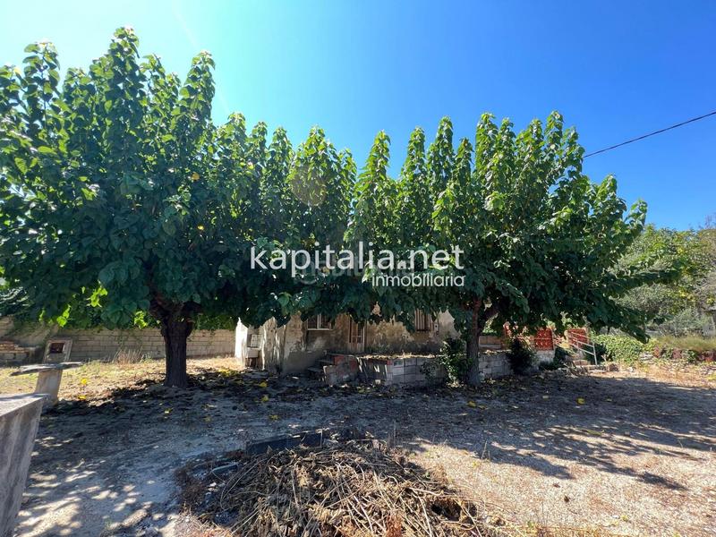 Foto 31bd14bc-5901-4793-961f-a5f62bf050a6. Casa amb piscina a Santa Ana Ontinyent