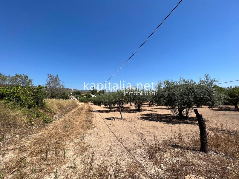 Foto 6902ea74-ff24-48cf-9f9b-6199ecca8e30. Casa amb piscina a Santa Ana Ontinyent