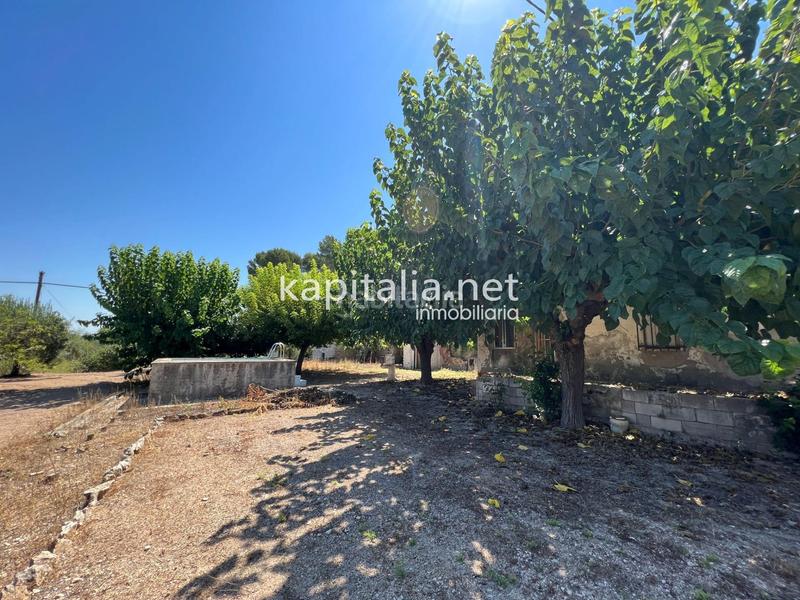 Foto 80471e10-f6e1-476f-9db5-033dd9155a69. Casa amb piscina a Santa Ana Ontinyent