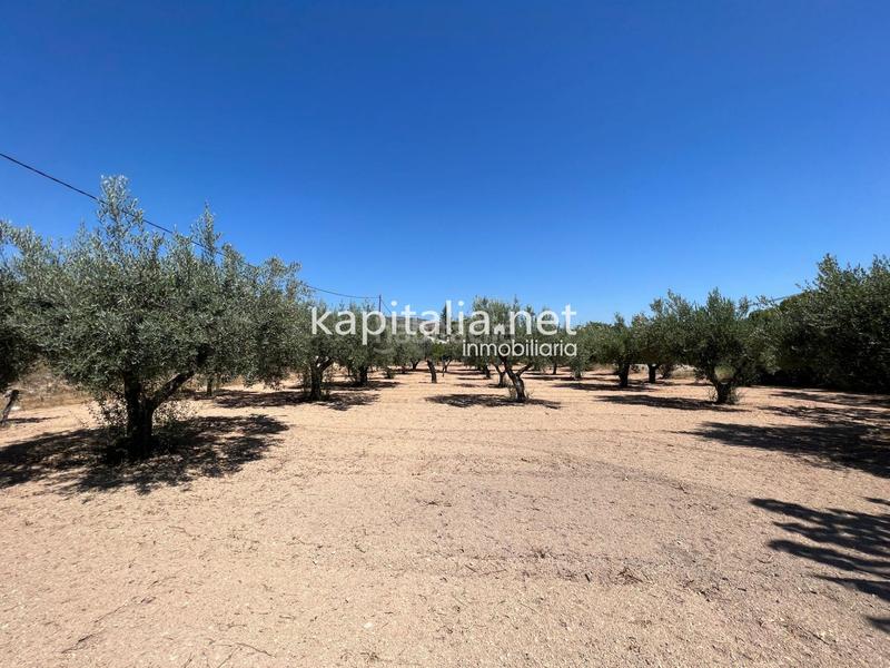 Foto 882ce8ec-3342-4566-970c-300694365707. Casa amb piscina a Santa Ana Ontinyent