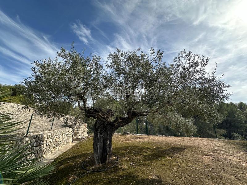 Foto bfb06940-2e52-429f-91bf-af64b4cd0ea2. Xalet amb aparcament piscina a Santa Ana Ontinyent
