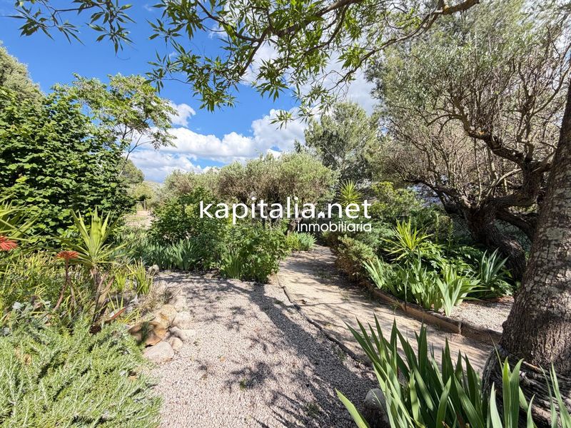 Foto 58e2d4e9-4fb7-45aa-902a-89655660b363. Xalet amb calefacció aparcament piscina a Millena