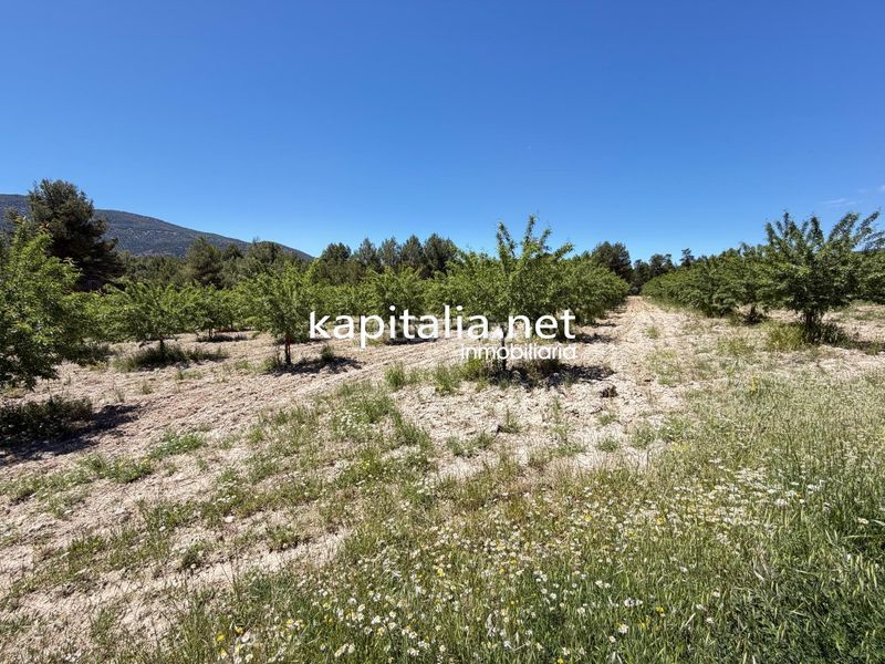 Foto b6829f76-a348-4a60-88ec-2c824917adf9. Xalet amb calefacció aparcament a Batoi Alcoi