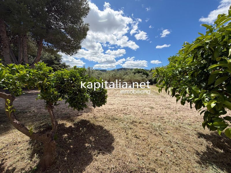 Foto bebf0a2b-7342-49e1-9072-1efc68438116. Xalet amb calefacció aparcament a Sant Josep-Zona Hospital Ontinyent