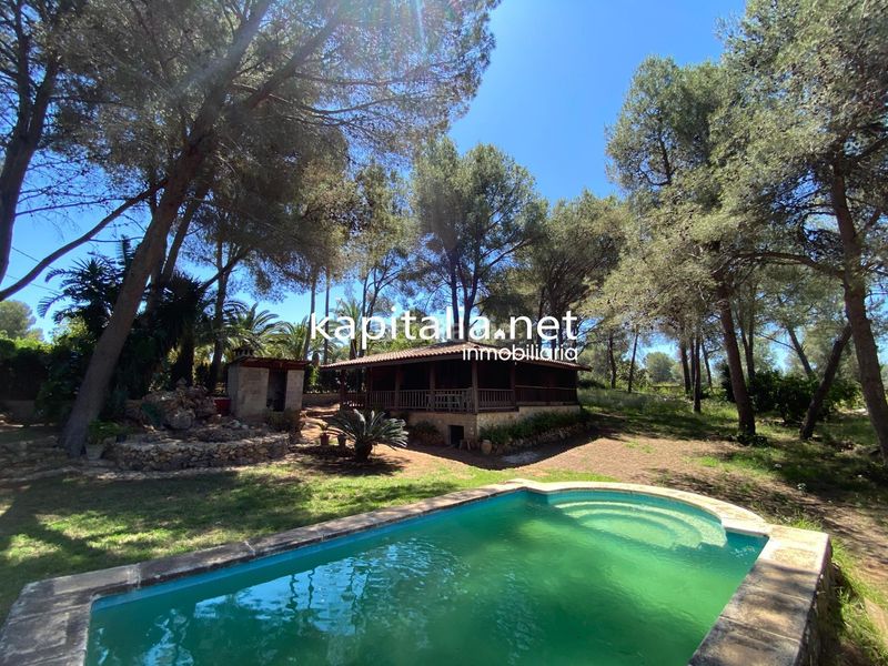 Foto 063375f3-0938-4d30-bd54-7f9925b11715. Xalet amb piscina a Alberic