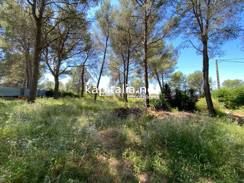 Foto 50f55228-e90d-44ad-b68a-4f1f21e55c1c. Xalet amb piscina a Alberic