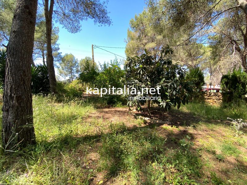 Foto 63496cc9-d950-4574-85a3-69a151769082. Xalet amb piscina a Alberic