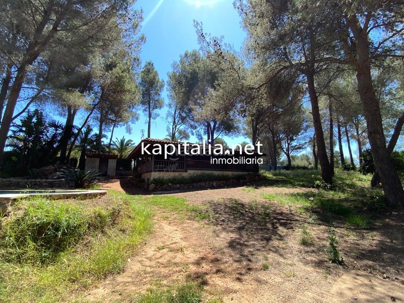 Foto aaf60d6a-68d5-4789-938a-51881b054171. Xalet amb piscina a Alberic