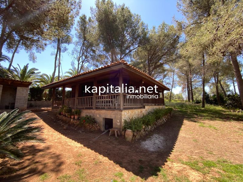 Foto cdccdba2-6e68-4bf8-82cc-a5a52f96d6dd. Xalet amb piscina a Alberic