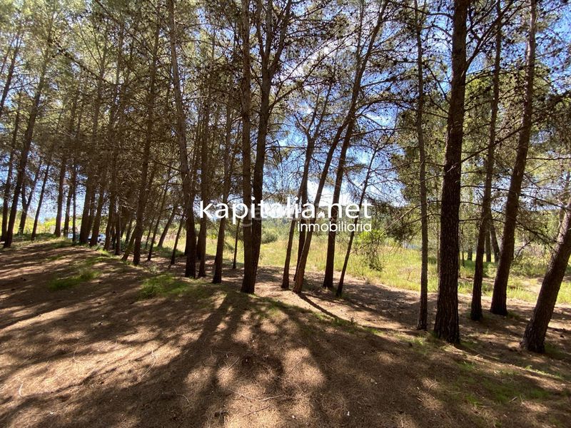 Foto 2f249cfc-e4db-43d2-8b3d-8436a1f41be7. Finca rústica a Olleria (l´)