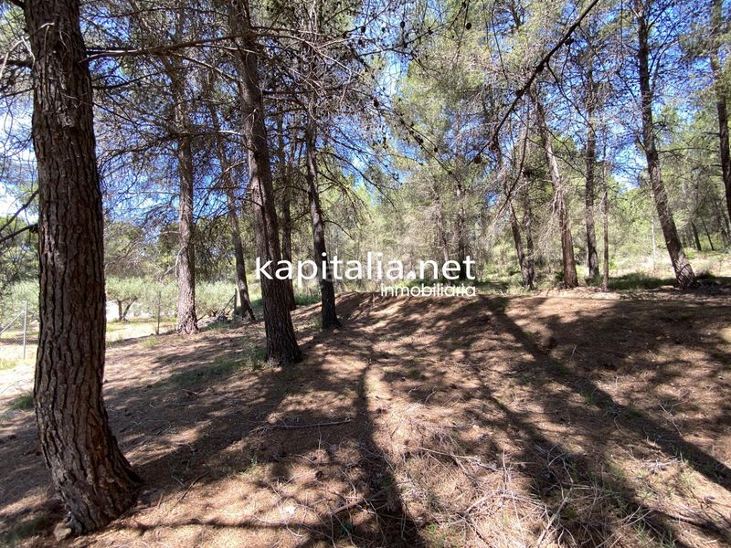 Foto 63470443-b0a1-4227-bbd1-85752e44ad9a. Finca rústica a Olleria (l´)