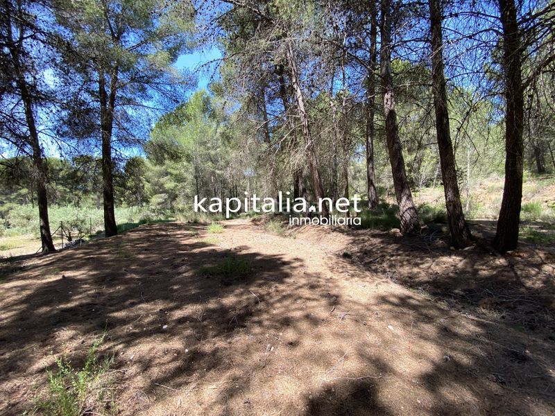 Foto d0cf23e1-dc1c-45d6-ae11-f15ed4aac42c. Finca rústica a Olleria (l´)