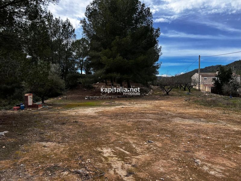 Foto 00ff0080-6199-44b9-ae8a-6edbbc382974. Finca rústica a Olleria (l´)