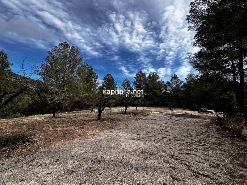 Foto 5ddd5baf-4146-422b-b2bd-1636b7efa689. Finca rústica a Olleria (l´)