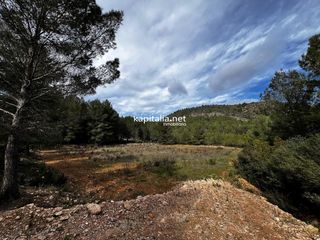 Landgut in Olleria (l´). Terreno a la venta en olleria