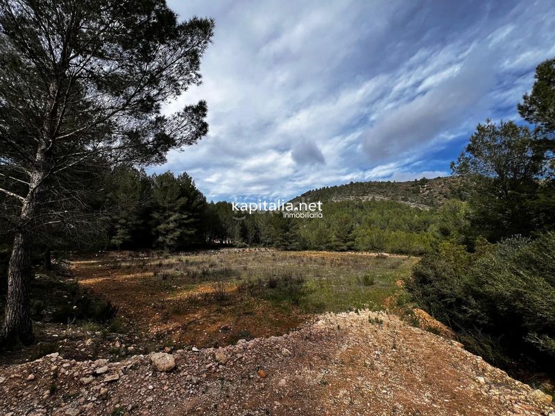 Foto 6d450015-fb84-42f0-be68-11b0f59bcc3a. Finca rústica a Olleria (l´)