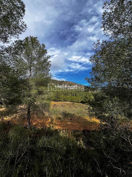 Foto 8a485071-18d5-4a36-8cf0-035e248006f4. Finca rústica a Olleria (l´)