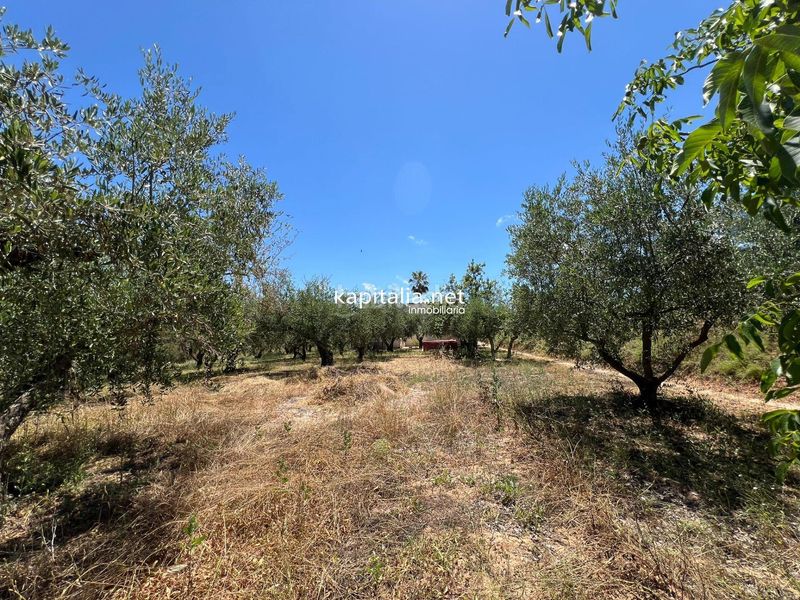 Foto c8972264-9c2a-42a5-9f28-b34eb0a805de. Chalet  a la venta en El Pilar Ontinyent