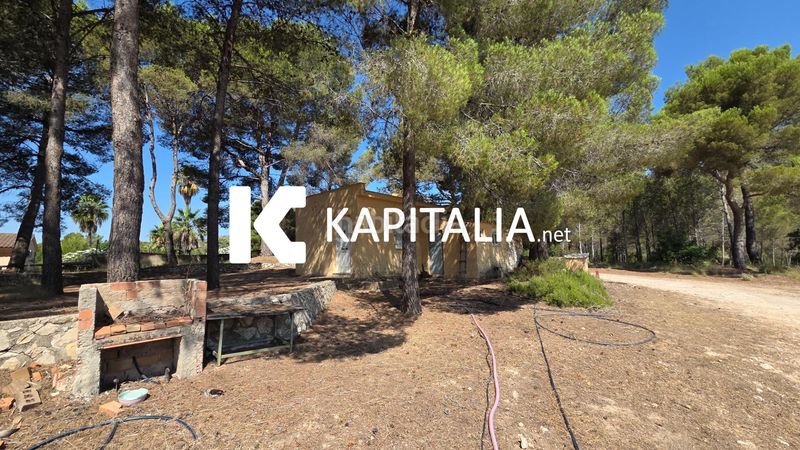 Foto 77d299f5-d731-4da0-85ae-f134c89746c7. Xalet a Santa Ana Ontinyent