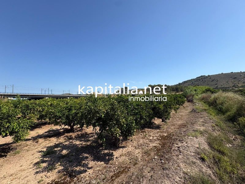 Foto 48d1f6b5-ccf0-4bf1-b9dd-08618fb0ce88. Masía finca de naranjos a la venta en xativa en Rotglá y Corberá