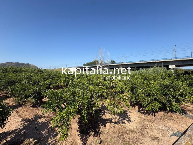 Foto 7238a9d5-c3d6-48b3-9a0a-01e962d1c868. Masía finca de naranjos a la venta en xativa en Rotglá y Corberá