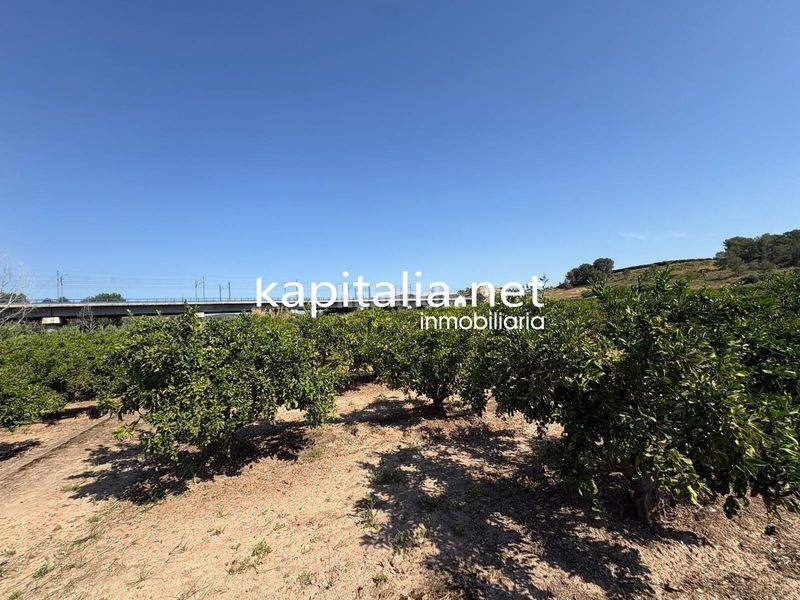 Foto 7ea7671d-0c8d-44d6-bbc7-dcb31f6e4170. Masía finca de naranjos a la venta en xativa en Rotglá y Corberá