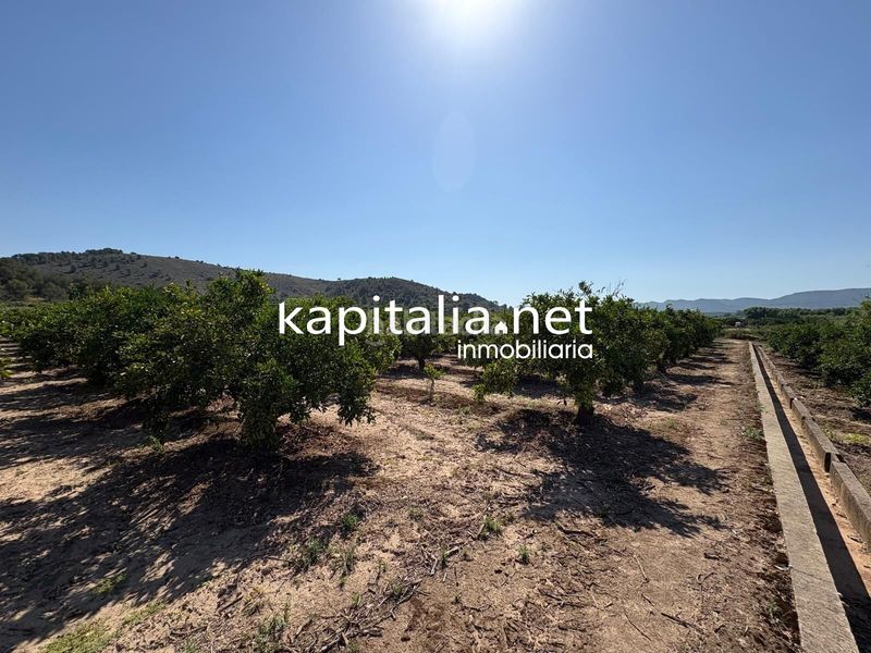 Foto 8209bf7a-077d-4923-be3d-f465a25cdaaf. Masía finca de naranjos a la venta en xativa en Rotglá y Corberá