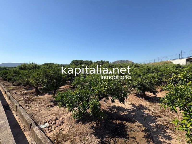 Foto 9935c541-5ac0-4d23-ab82-b9eba1e7d8ca. Masía finca de naranjos a la venta en xativa en Rotglá y Corberá