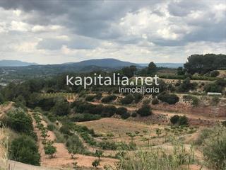 Finca rústica a Llosa de Ranes. Terreno rural en la llosa de ranes