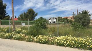 Terreny residencial  Avenida marques de lacy