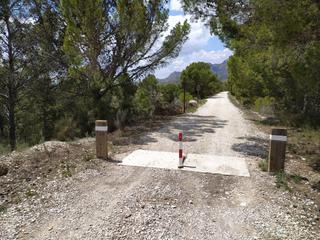 Finca rústica a Partida els palomarets 11. T79 - parcela rústica en petrel
