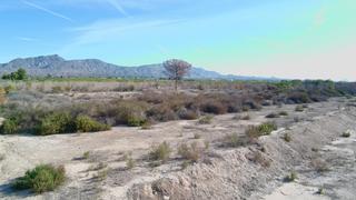 Finca rústica  Partida moco el gp. 3. T127 - terreno rustico en albatera