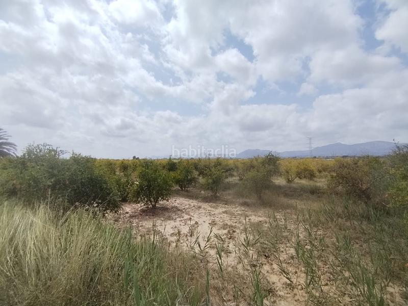 Foto 0b2056e9-8331-435a-b70b-79b43a8e216c. Landgut in Albatera