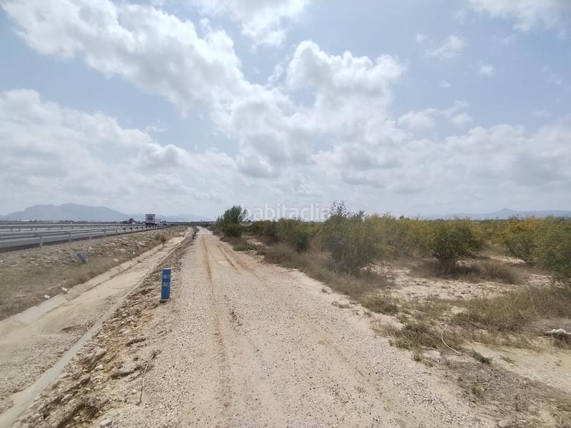 Foto 4b8046d4-09ef-430d-a68a-a5e25bc0ec1a. Landgut in Albatera